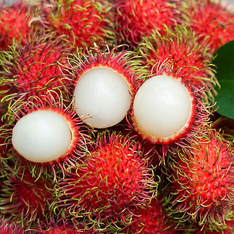 Rambután soconusco
